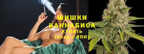 шишки Аркадак
