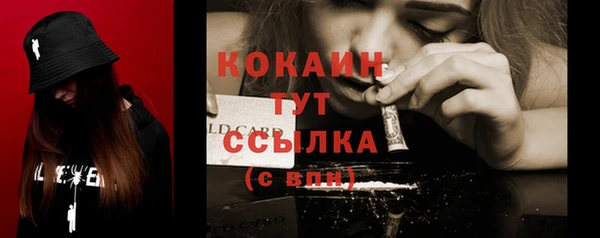 шишки Аркадак