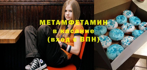 шишки Аркадак