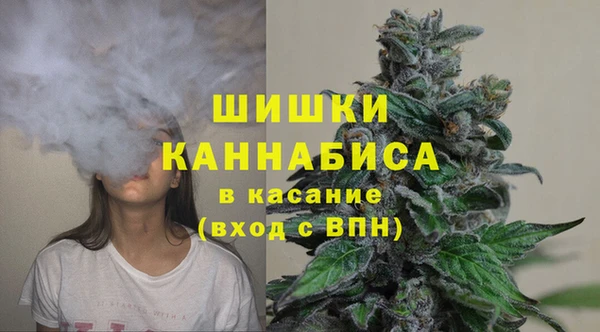 бошки Арсеньев