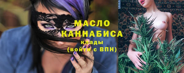 шишки Аркадак